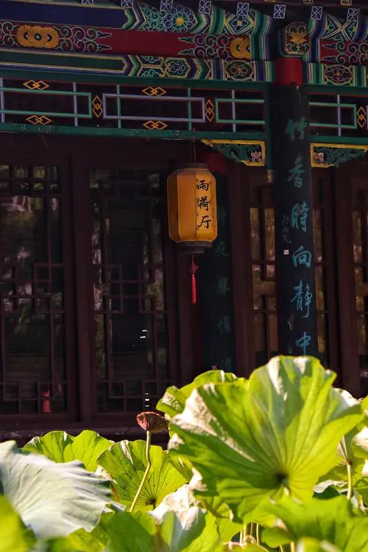 荷花池边，古色古香的建筑真漂亮。