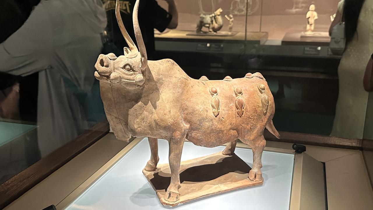 山西博物院威武的陶俑牛🐮和委屈的镇墓狗～
分享你手机里的太原风景太原必逛博物馆