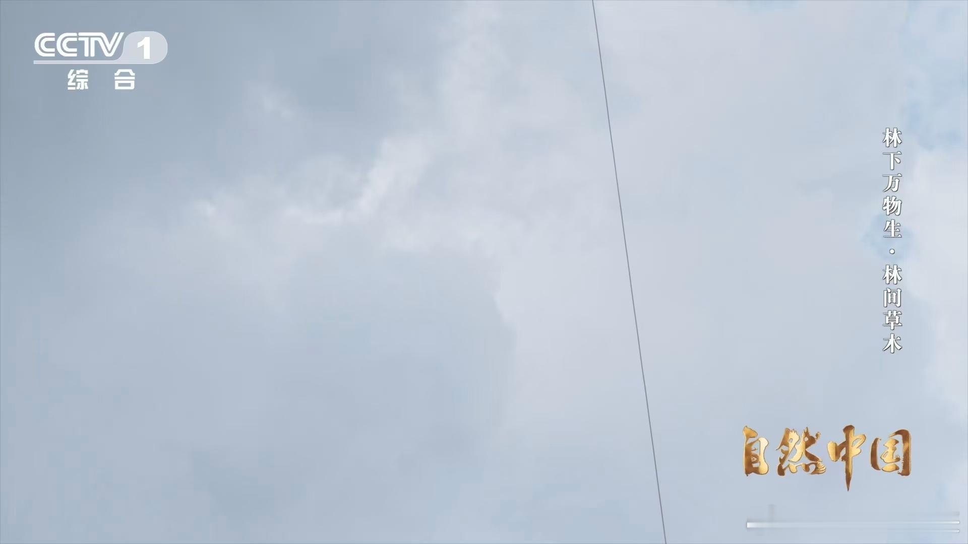 一架架无人机在中国农村运货 中国农村的科技发展正呈现出蓬勃的生机与活力。无人机运