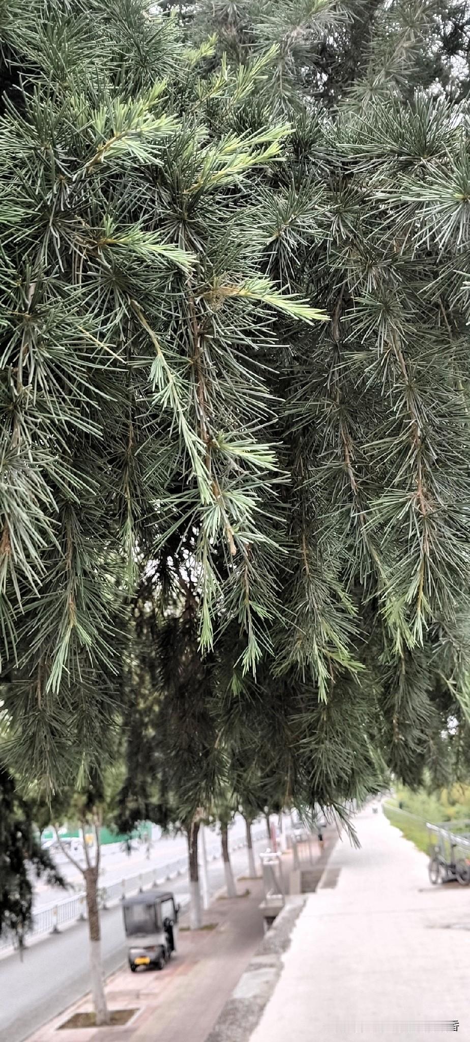 分享你的随手拍照片