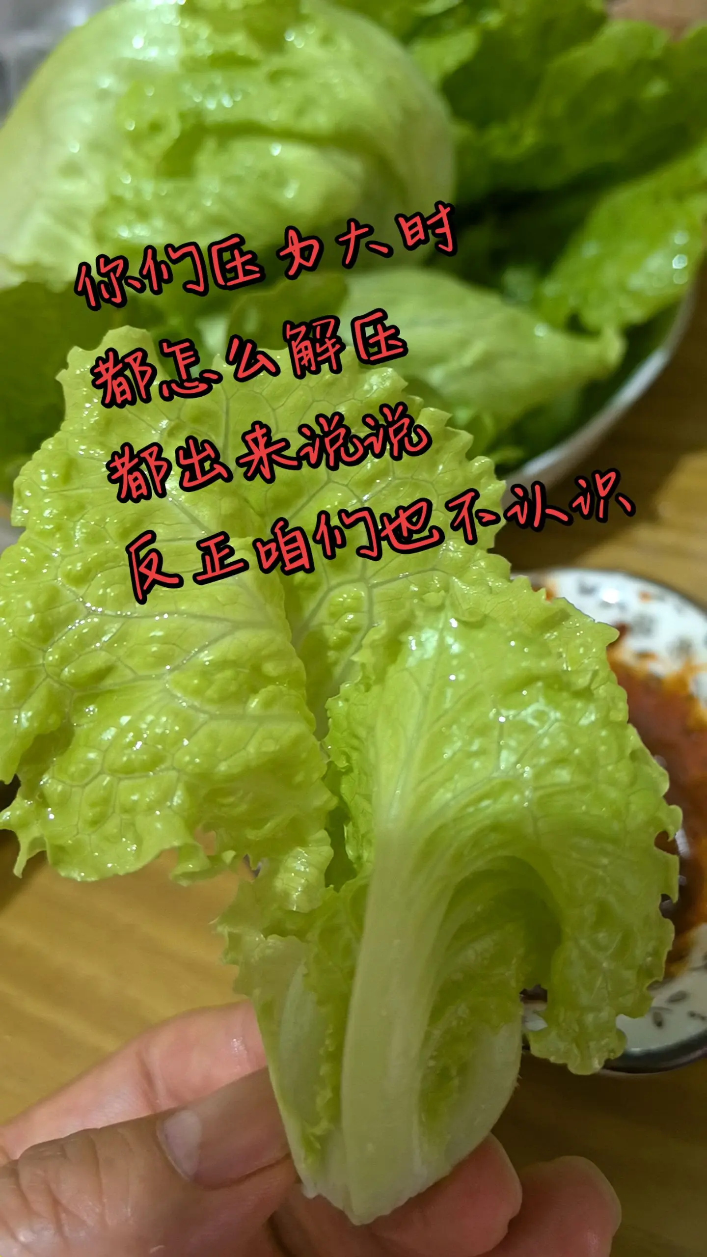 生活的压力，来自四面八方，但我们是不是都有自己的解压方法