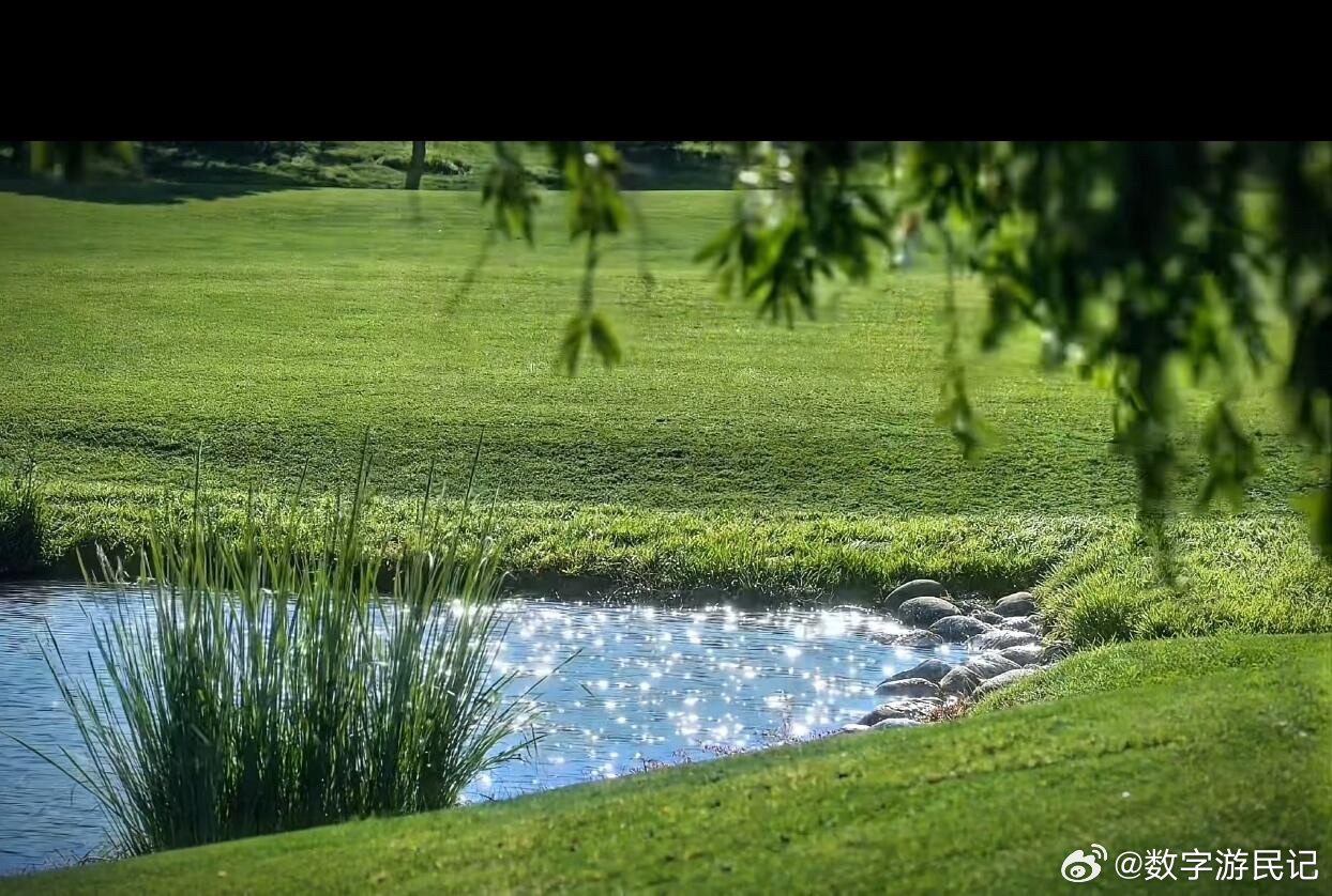 人一定要有一个思维，叫做强者不纠缠，不跟旧人纠缠，不跟是非纠缠，不跟遗憾纠缠一旦
