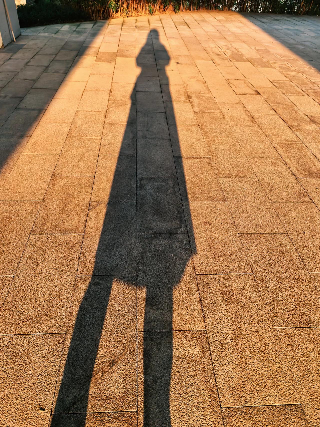 我的个天啦！

在商场试穿玖姿的一件短款鹅绒服，面料做工真不错，摸着感觉软软的，