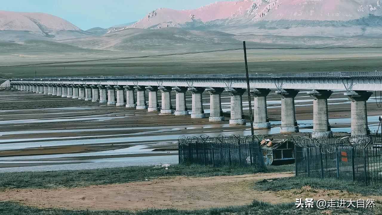 但烦恼的根源并非仅仅局限于贪念。生活中，许多客观因素也会带来烦恼。生老病死是自然