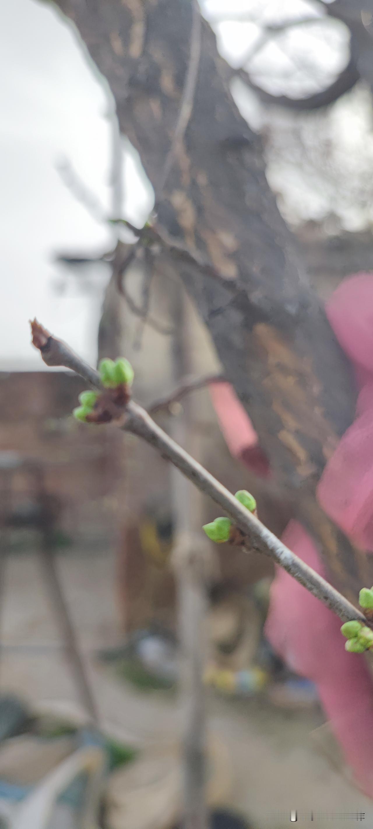 照顾老人久了，真的会被当成理所当然吗？我老家的三伯最近摔倒了，大姐说嫂子没照顾好