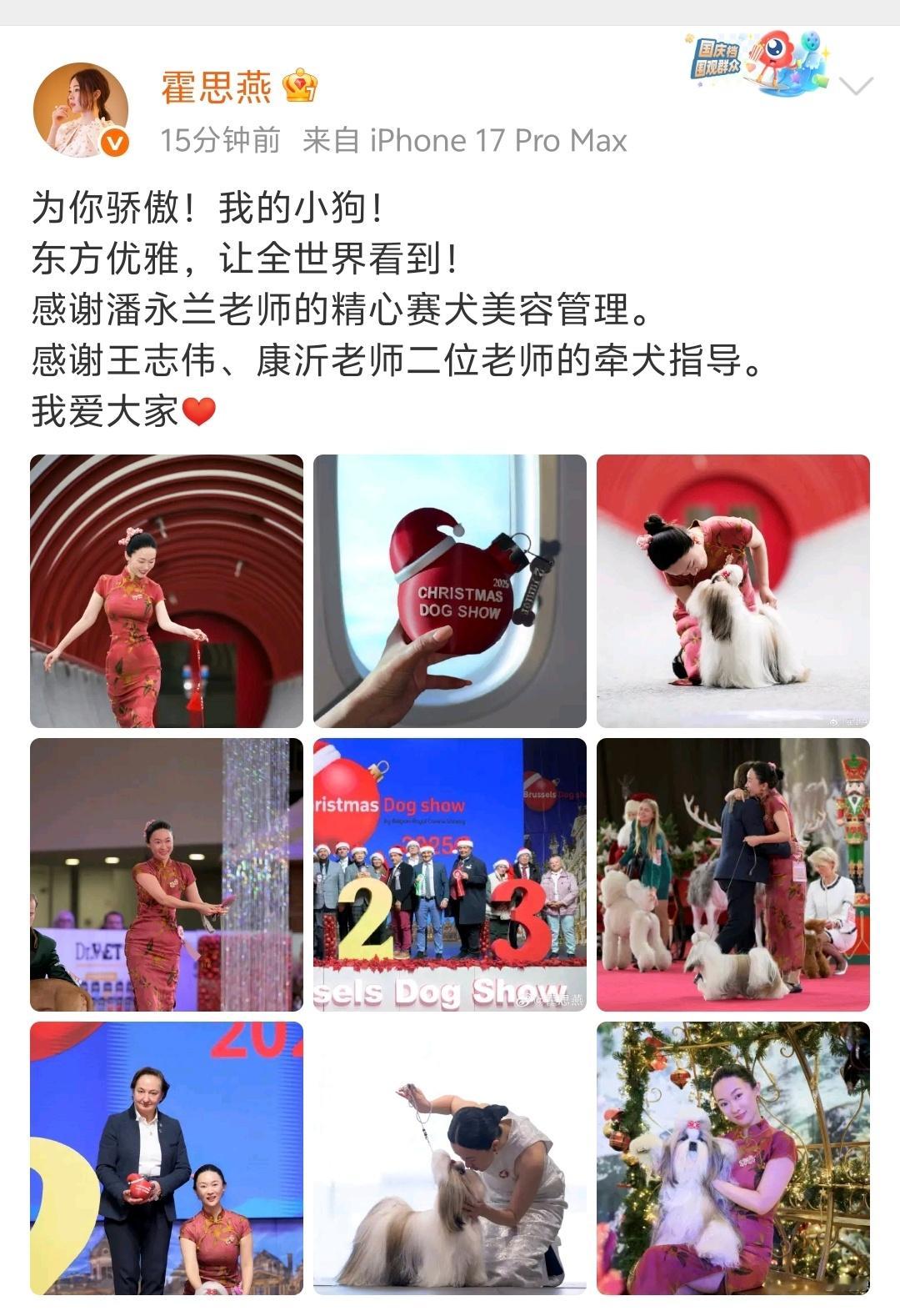 霍思燕爱犬在国际比赛夺冠 霍思燕身着旗袍带领自己的西施爱犬参加了第135届比利时
