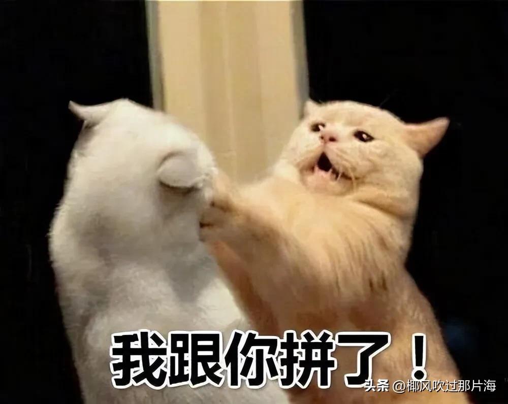 奇观！卢克文和胡锡进这两位“顶流”互撕，竟然火出了圈，连境外都开始围观。

这出