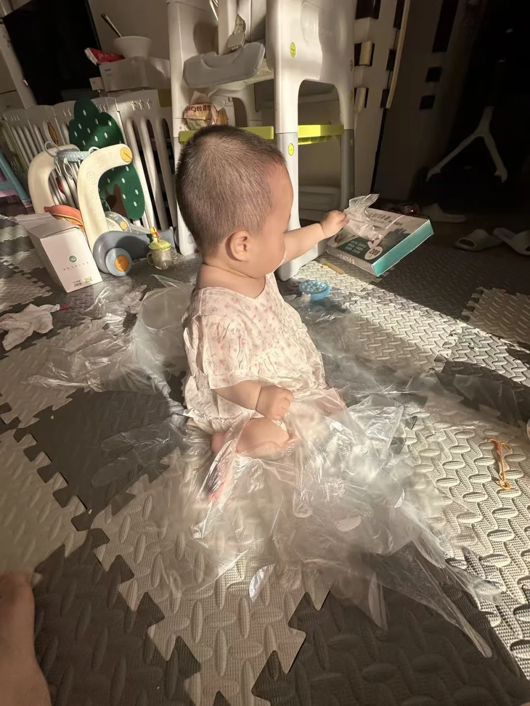 谁家还没有一位拆家小选手呀！