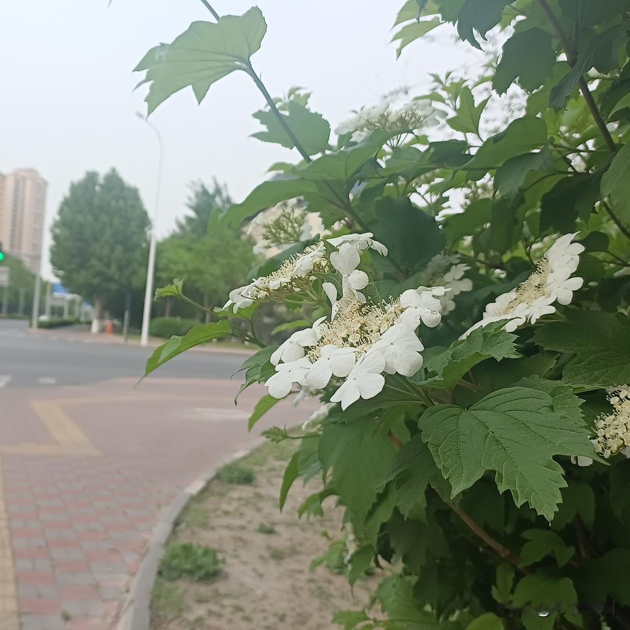 我认为不太好要我也觉得不太好要。
 
真心爱过一场，那些送出去的礼物，都是当时心