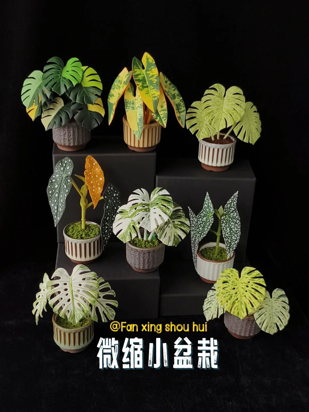 桌上森林，治愈一整天！