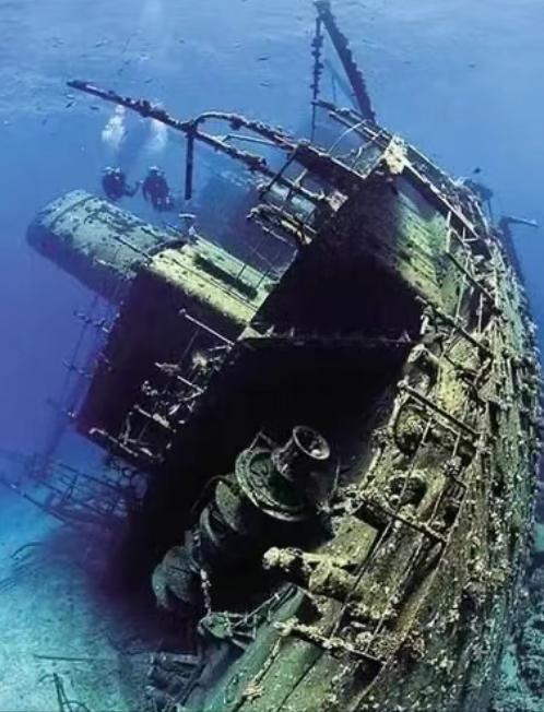 震惊！我国耗费3个亿，捞上来一艘沉船，没想到船身800年都没腐烂，其中文物竟有1