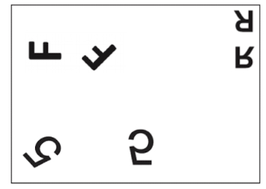 《想变聪明，多散步》1.分享一本我今年读过最有收获的书，是芭芭拉.特沃斯基写的《