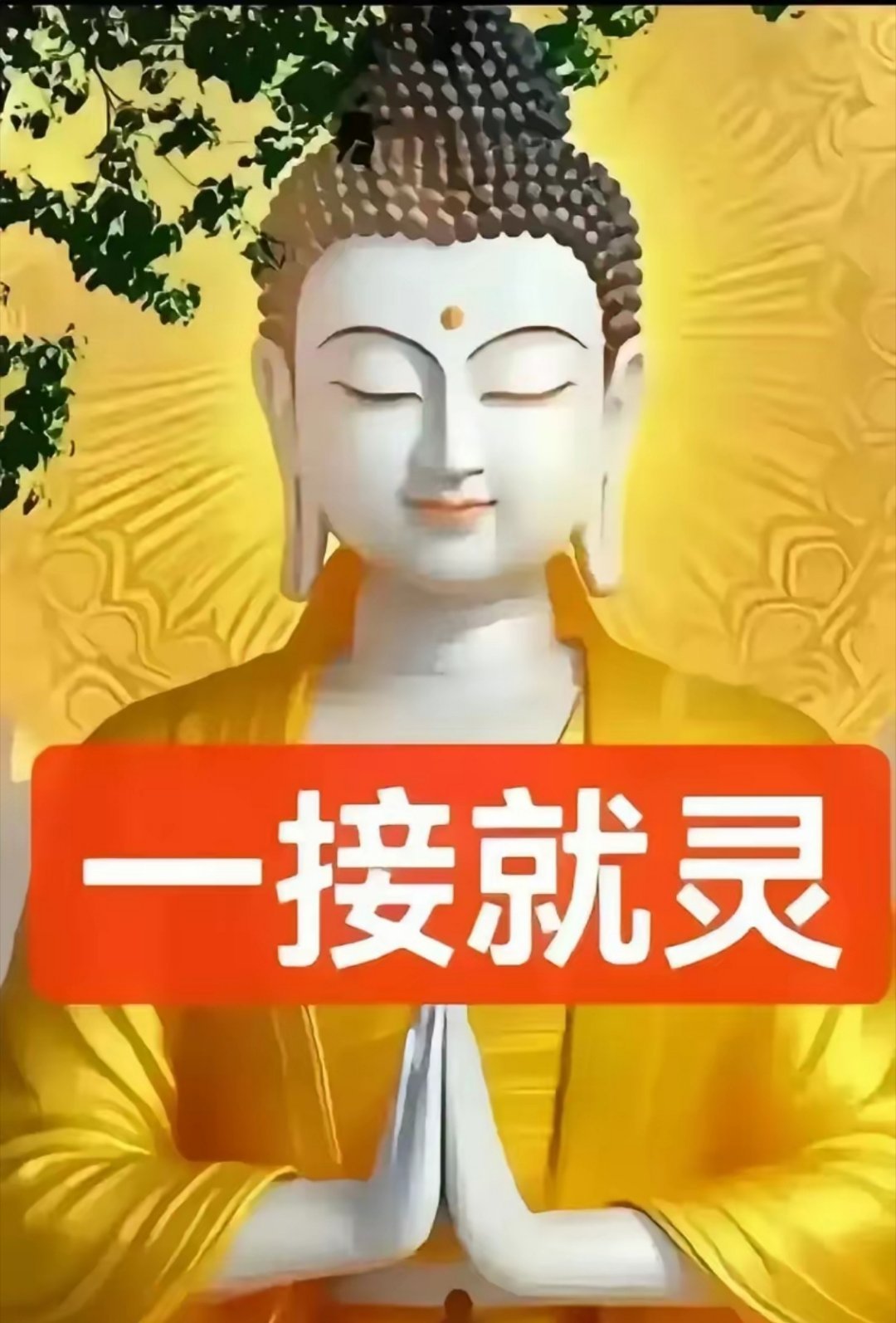 不要不信，错过即是缘尽！留句：“福满我家！”财神眷顾你家喜事连连！接福纳喜，为你