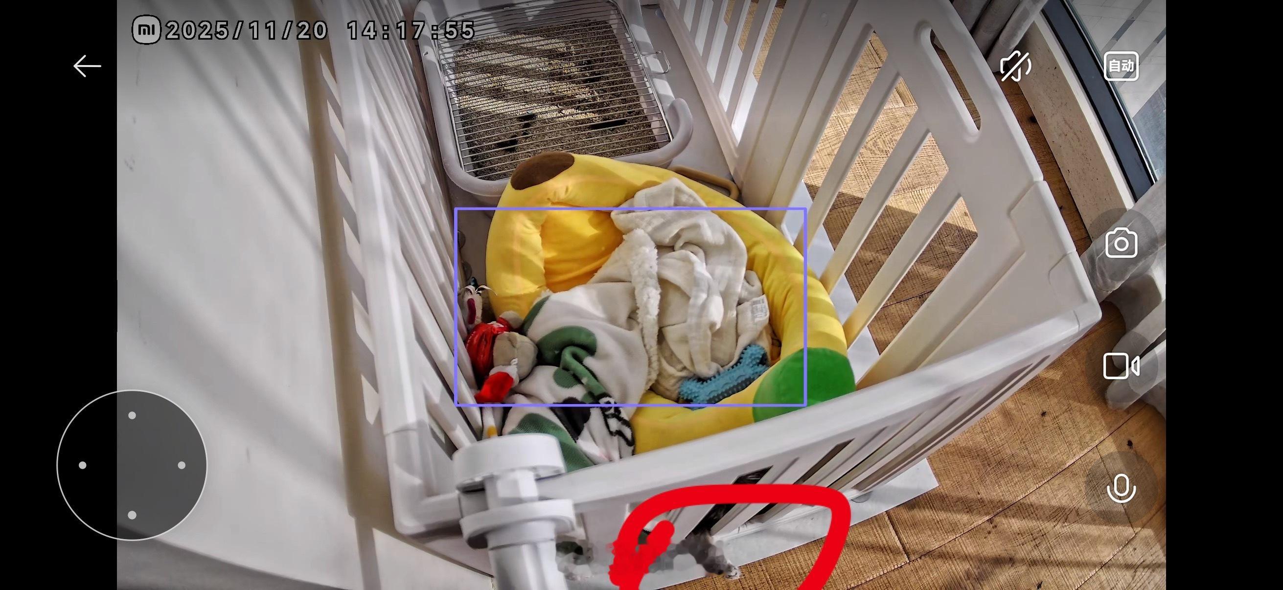 我打开视频雷击，以为孩子越狱了结果，看到一个狗爪子