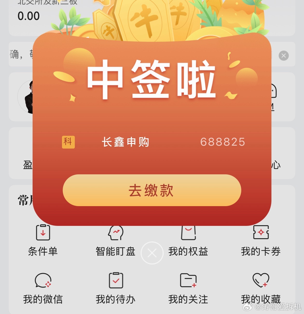 中了500股，为什么无法缴费，是交易日才行吗长鑫科技中签率