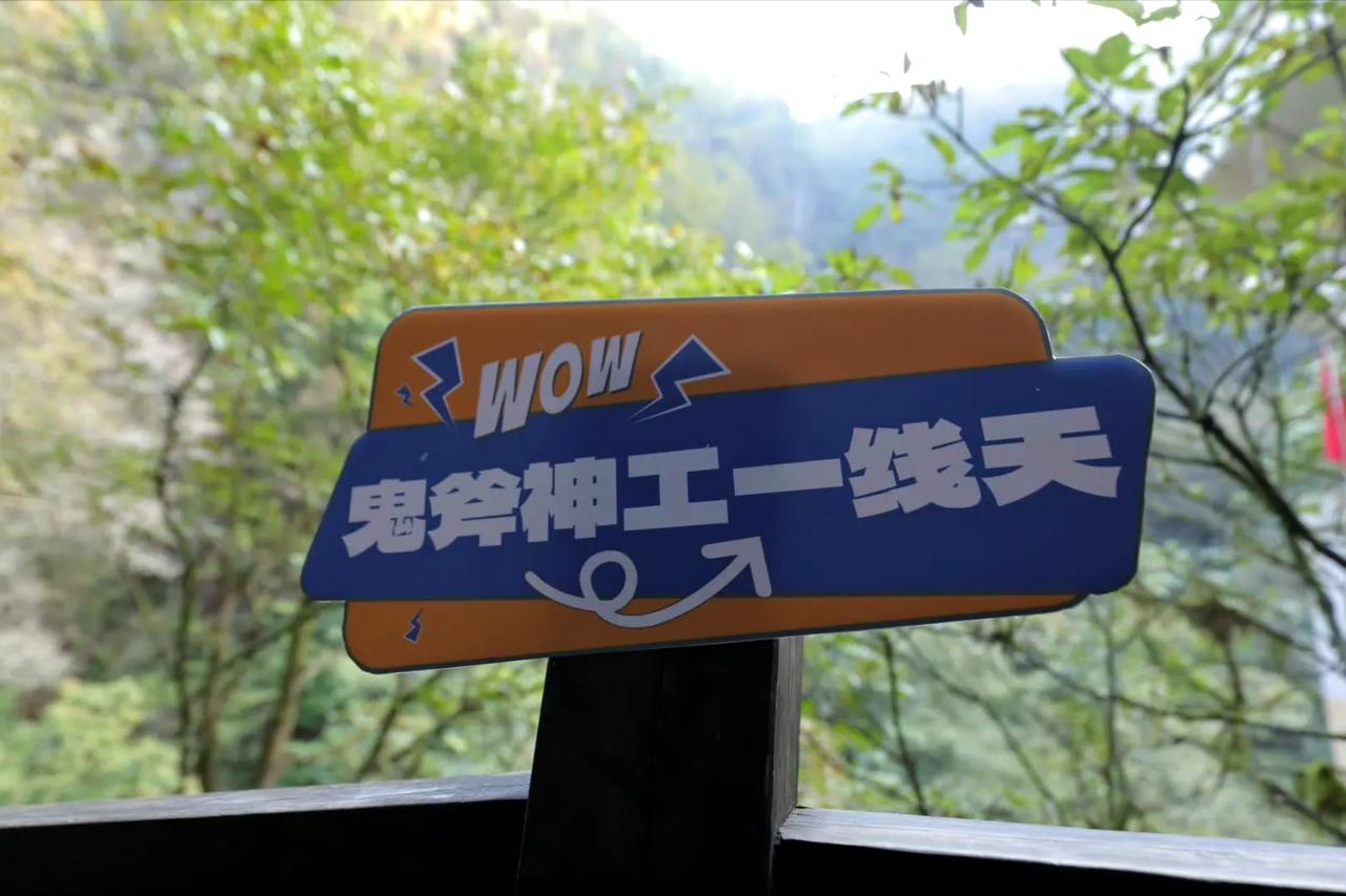 梵净山，是自然爱好者的天堂。乘坐三特缆车轻松上山，是游览的最佳选择，它能让你轻松