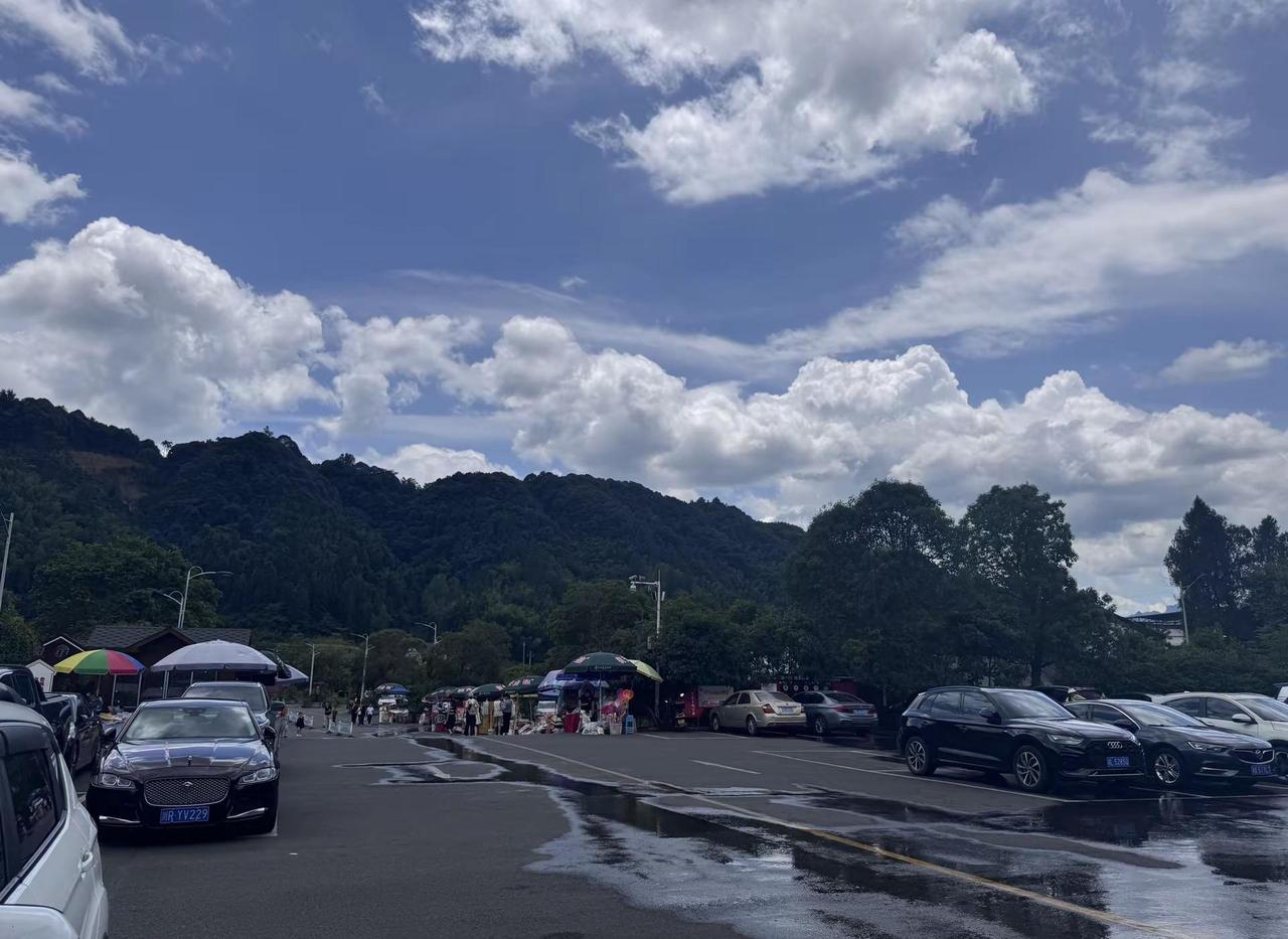 夏天是一场盛大的遇见。冰镇汽水，漫天晚霞，傍晚温柔的晚风。不必追赶时光，只管感受