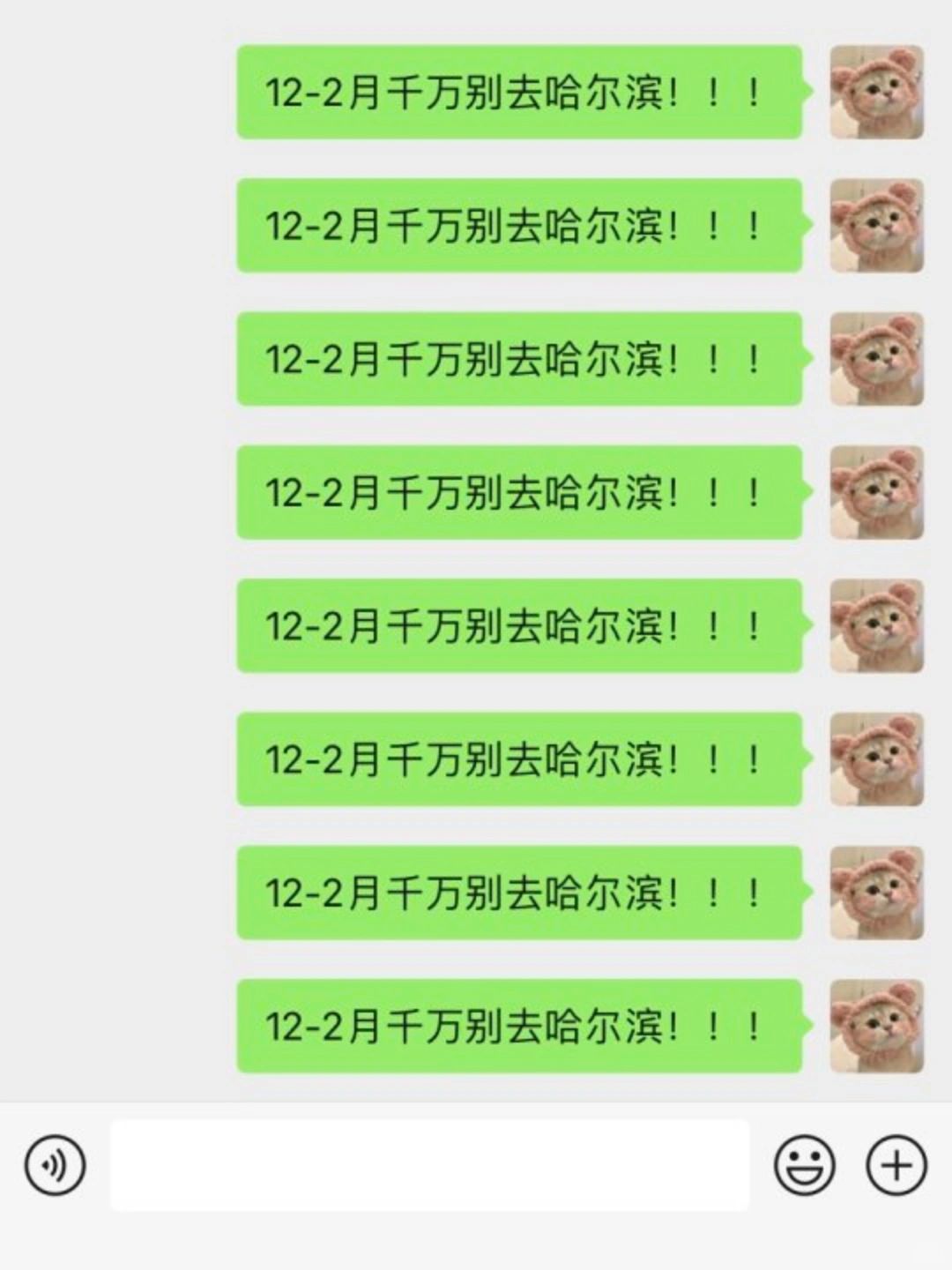 主打一个听劝❇️12-2月来哈尔滨的姐妹听劝