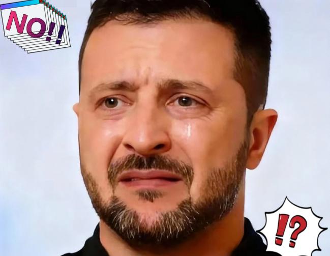 泽连斯基宣布 12月2日，乌克兰总统泽连斯基亲口宣布：乌美代表团就“领土问题”一