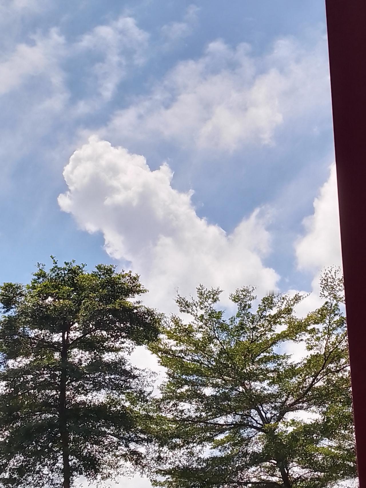 其实我觉得最适合在线上直播的人是汪明荃和郑少秋，把他们年轻的时候拍的经典老歌播放