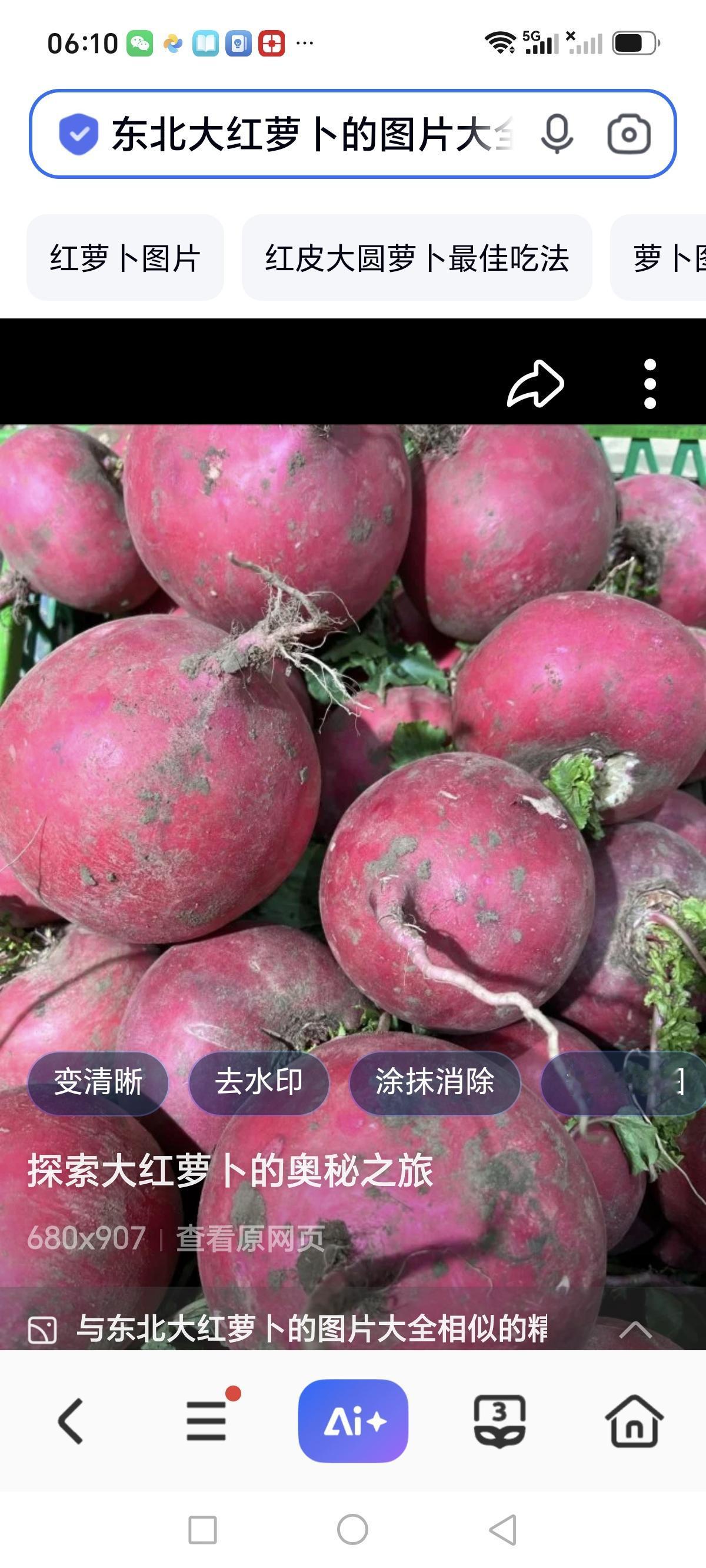 真的有点想家了！尤其是看到东北的秋季，农贸市场的热闹场景。

回想每当这个季节，