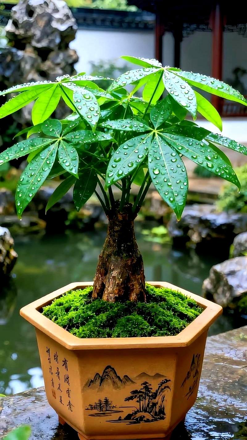 一桌年终饭，两个家坐在一张桌边，一个蒸蒸日上，一个鸡飞狗跳。
最近刷到一条说“兴