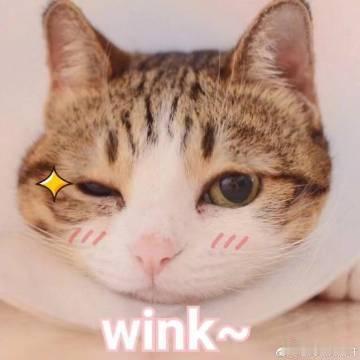 全国七城变成了孙颖莎痛城孙颖莎健康涨球藏头诗 上海的夜色因孙颖莎闪耀，岳阳街头传