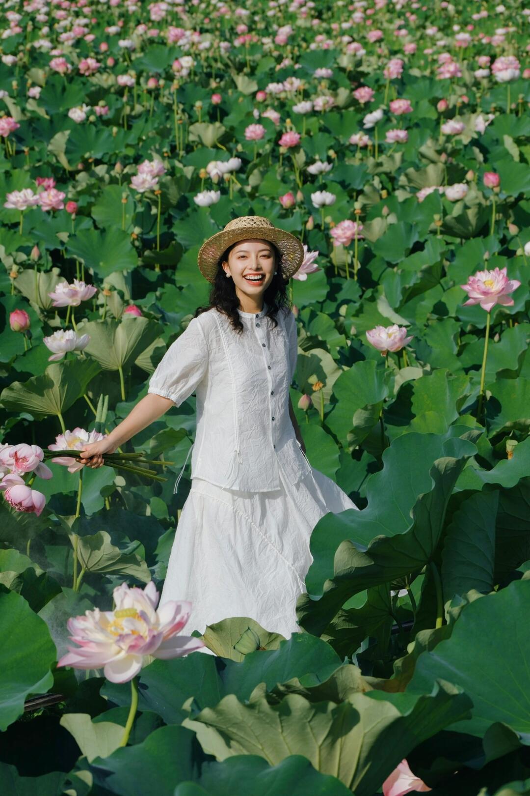 荷花盛开满池塘，是一种无法拒绝的美！