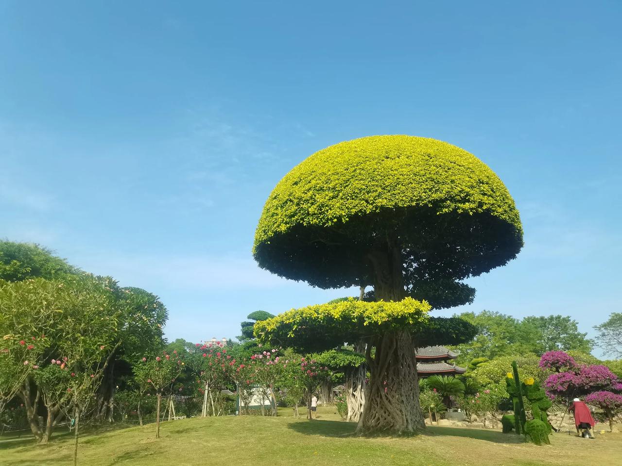 论节俭
还得看这些，
没想到有时候自己也是纷纷中招。
就比如订的外卖，盒子好看，