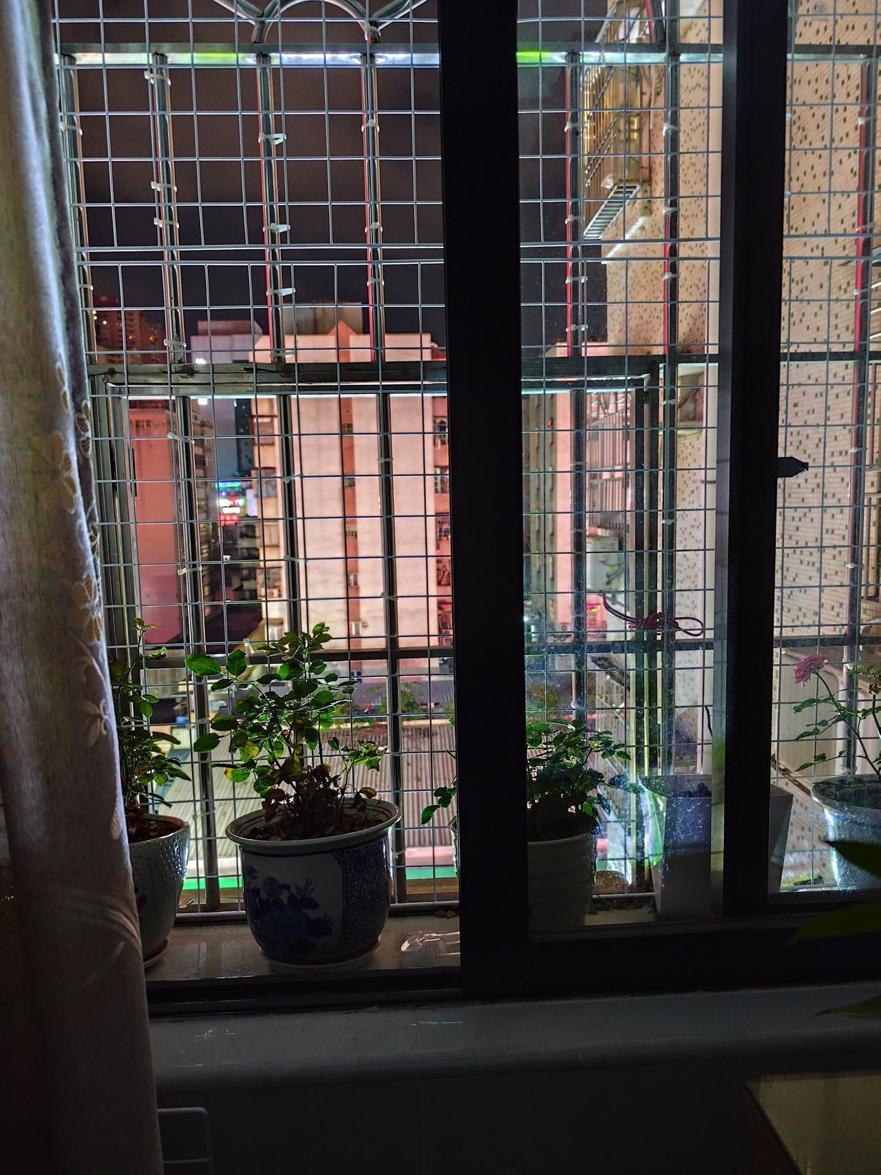 一天又该结束了。
委屈都是自己咽，烦恼都是自己扛。
不必逢人就说苦，不必事事求理