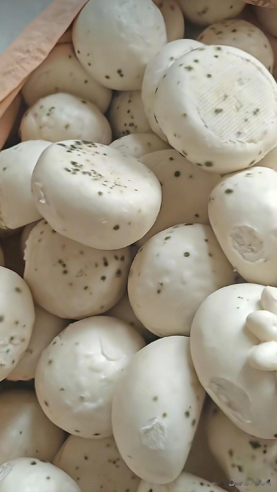 过去，过年蒸的馒头长霉点了，老年人都是把馒头皮扒掉馏一下照样吃。
但是，馒头长霉