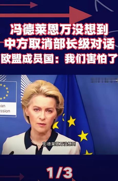 中方取消了部长级对话！制裁俄罗斯，连带着制裁十几家中企，冯德莱恩真以为欧盟可以无