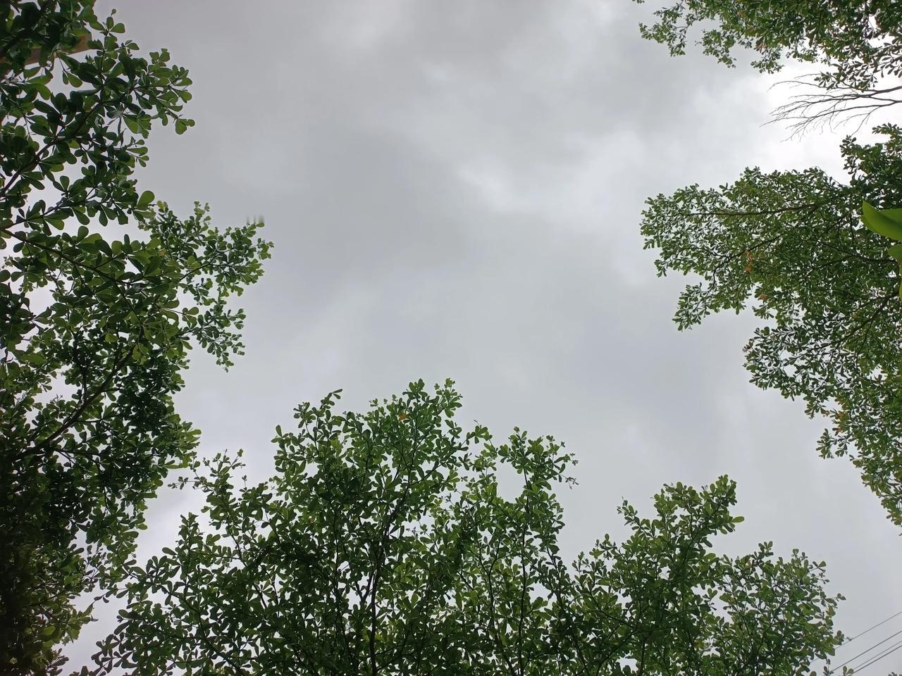 今天下雨了🌧️
上午出去散步
随手拍
[点亮平安灯][点亮平安灯][爆竹][爆