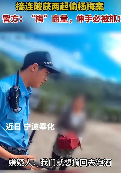 “大快人心！”浙江，两女子周末游玩，见路边杨梅红透，顺手摘了几斤尝鲜，被农户当场