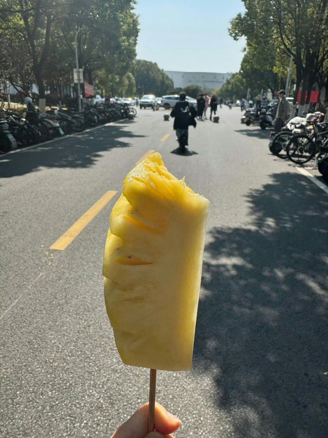 停止胡思乱想吧青春应该是热烈而真诚的 