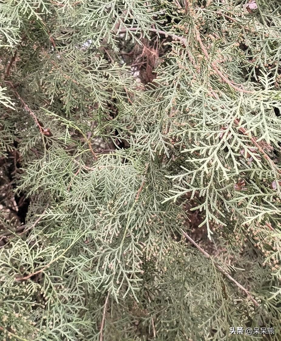 岳飞之所以斗不过秦桧，根本不是打仗不行，而是权力位置、立场、性格全被拿捏死了。