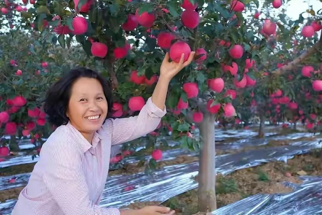 娶媳妇也要有脑子的！即便家里再富有，没有脑子也是不行的！就好比我们邻居，他家三个