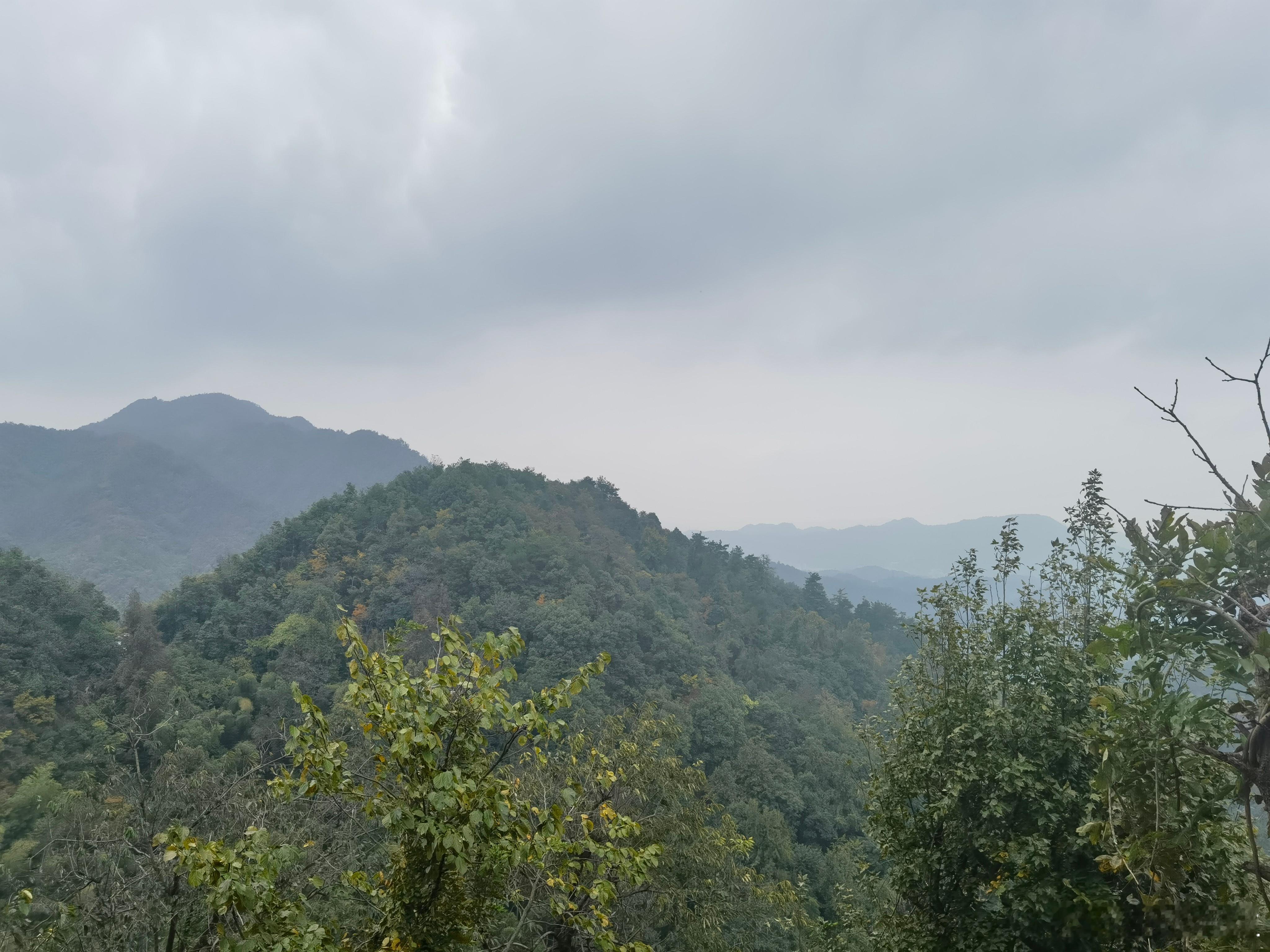 韶山行吟云壑犹存虎歇势秋声已化鹤归来定风波·重到滴水洞三十年来踏翠微，半甲子后再