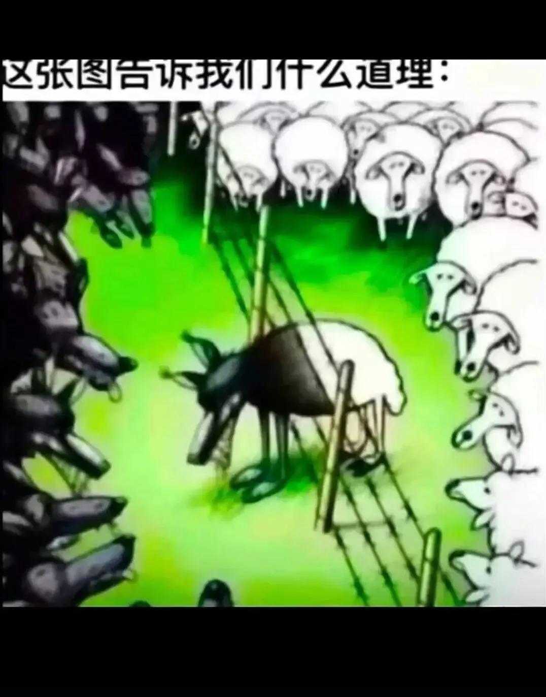 这张图告诉我们什么道理？？？？