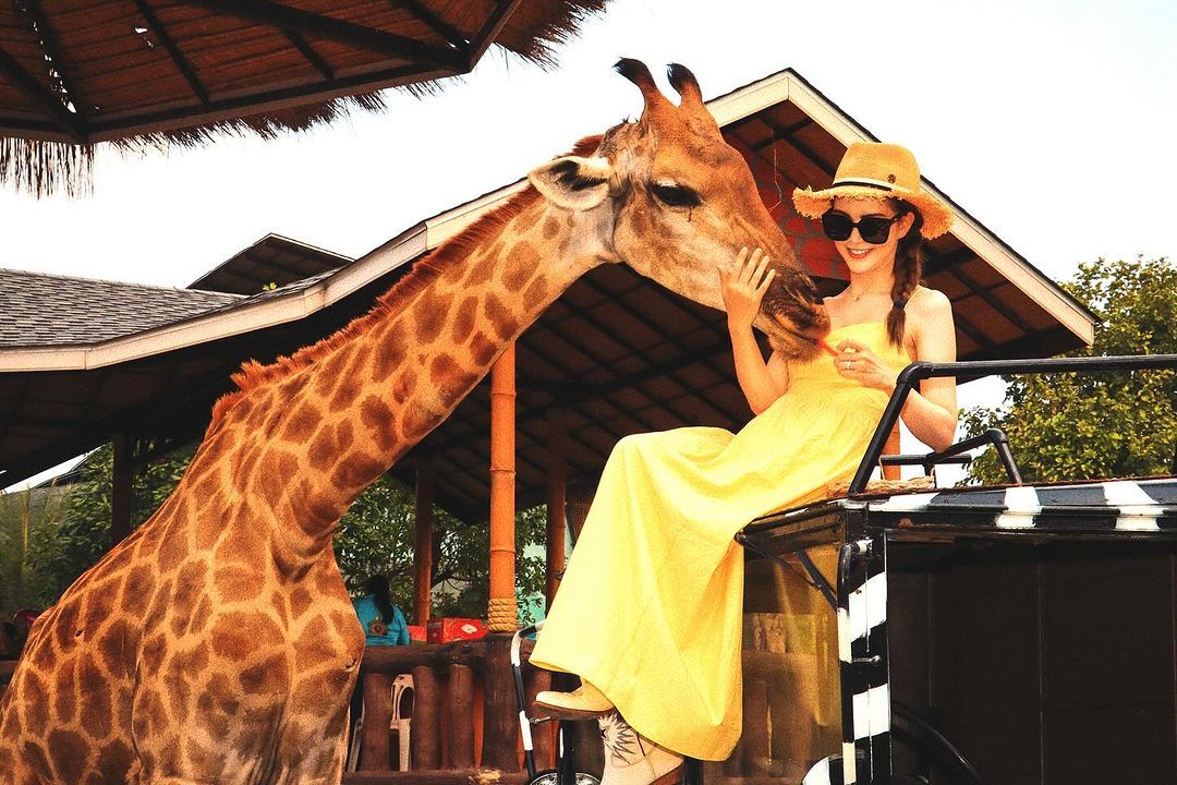 #昆凌[超话]# 20231212#hannah更新ins# 🦒 ❤️🦒 ​