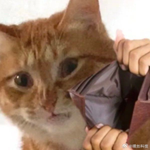 国产手机涨价2000元 肉疼内存成本暴涨，接下来的新款机型身价会怎样飙升简直不敢