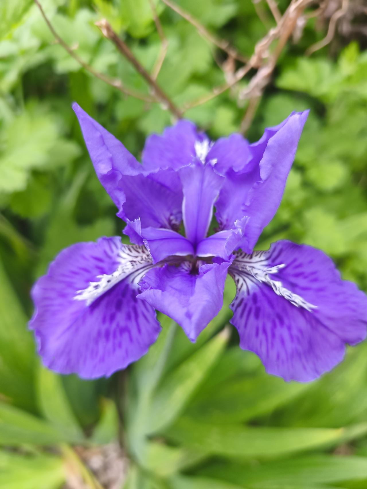 没有通知你，就不要打听，更不要到处问，哪怕你知道了事情的来龙去脉。
没有通知你，