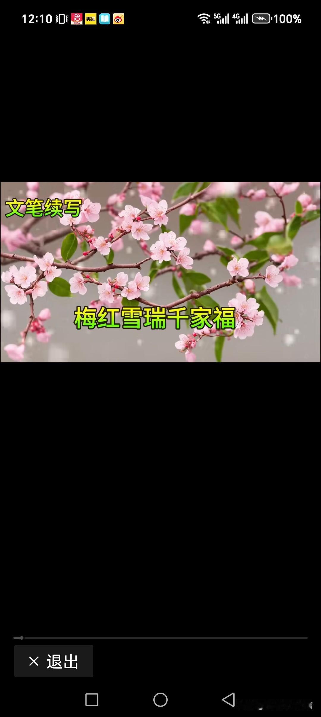 梅红雪瑞千家福
贴联挂灯万户喜