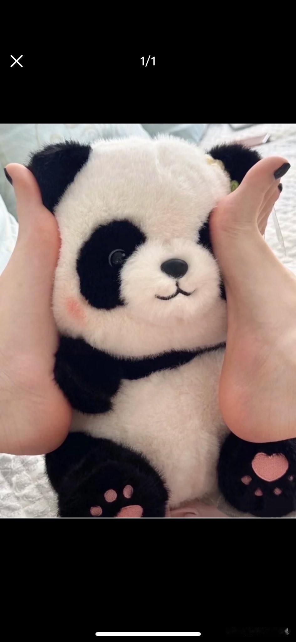 怪不得是国宝，真可爱