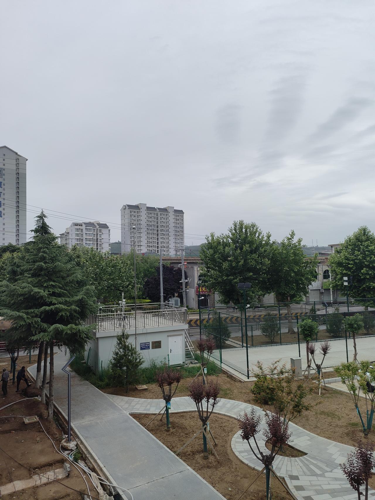 今日随手拍浅云铺满灰蒙蒙的天空，新修整的园区绿植错落排布，步道蜿蜒藏着静谧；街边