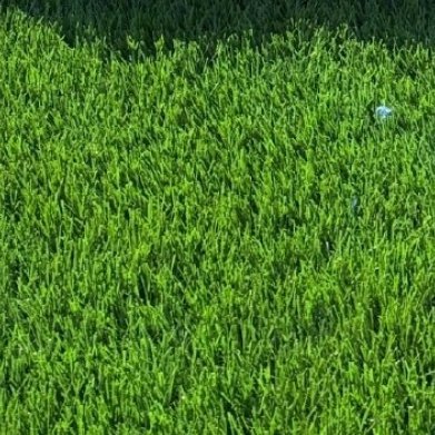 每日一善 既然人生的幕布已经拉开，就一定要积极的演出；既然脚步已经跨出，风雨坎坷