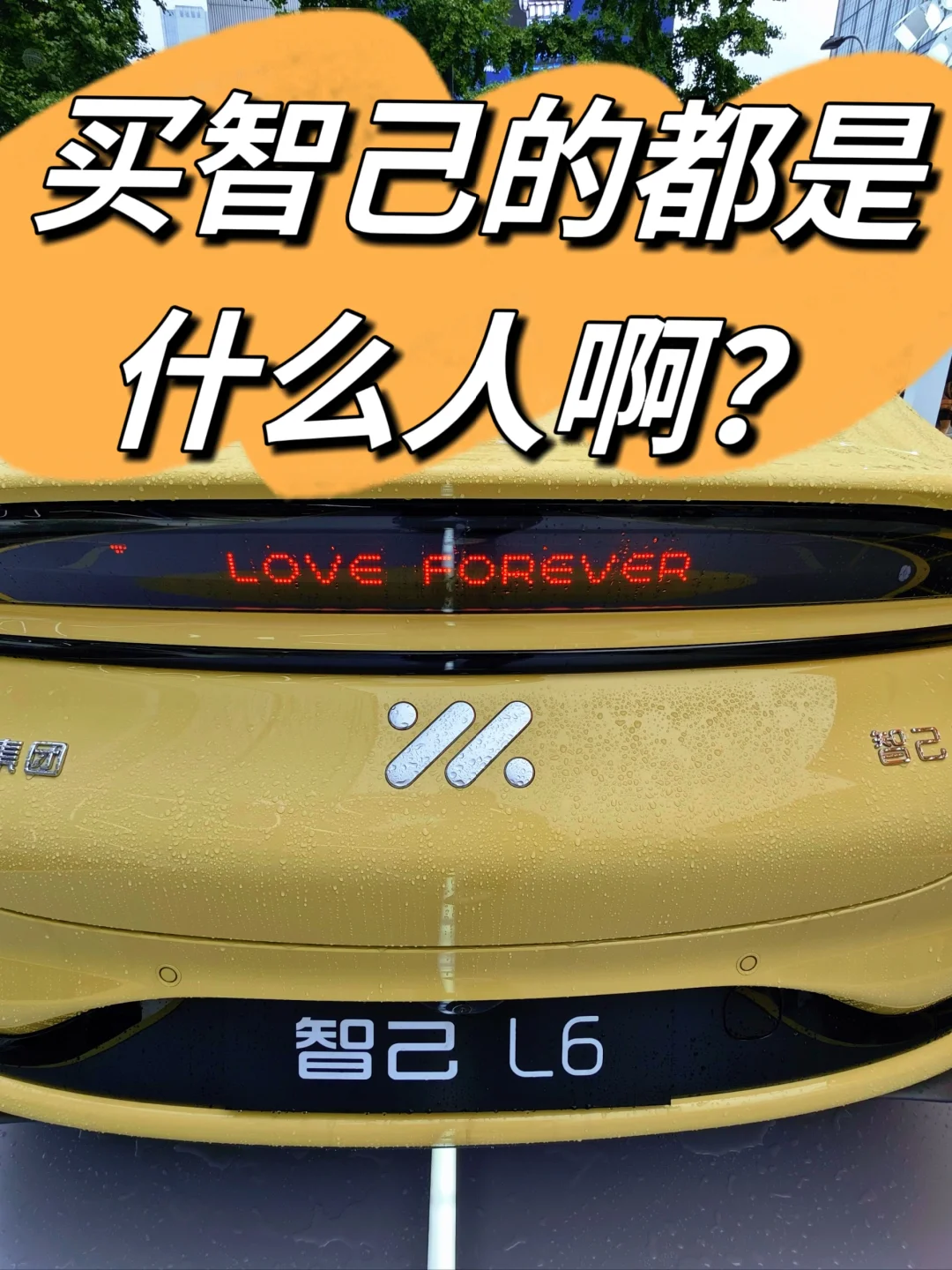 买智己L6的都是什么人啊？