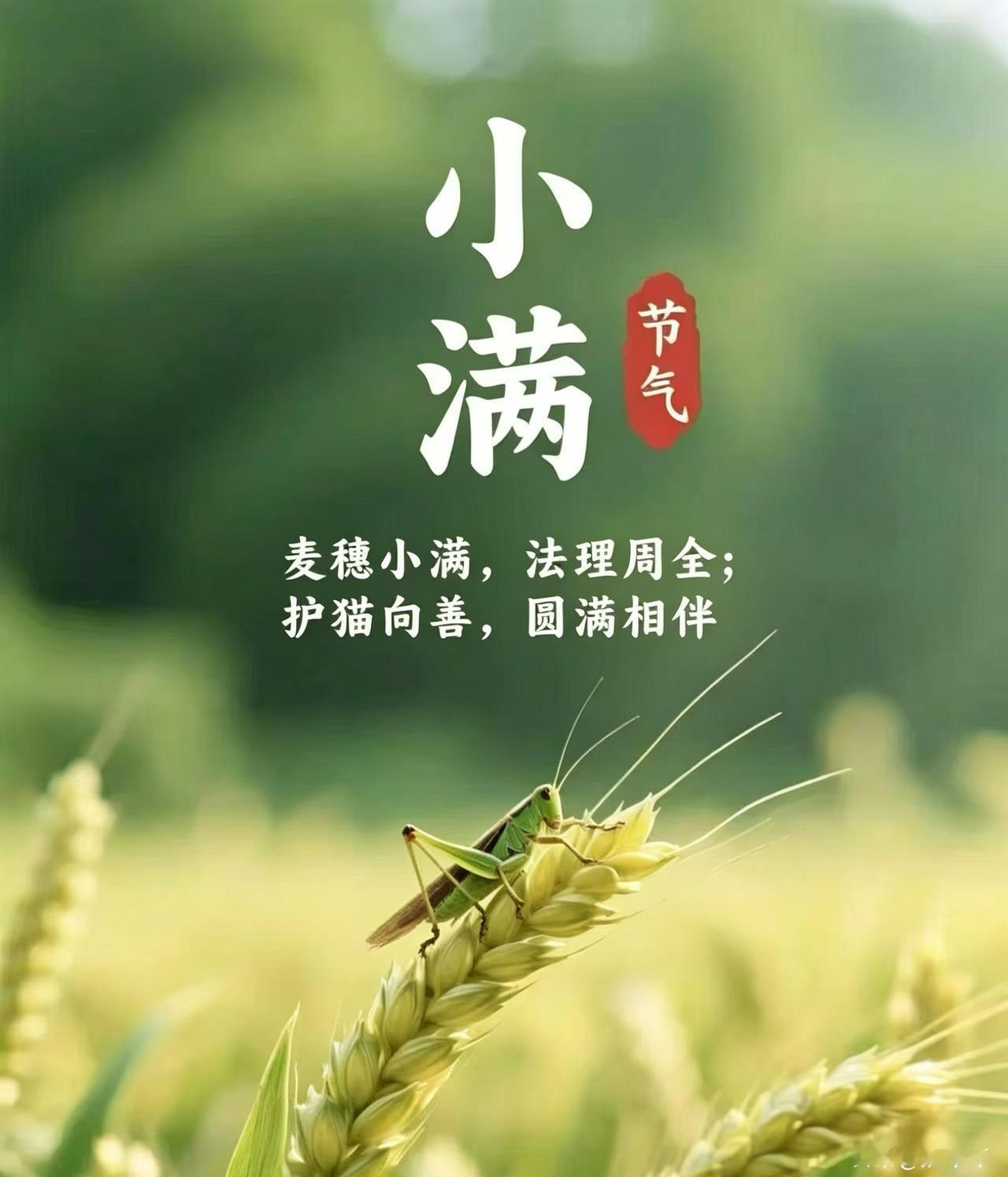 这两天我又偷懒了，又没有写作品，关键是心情不太好，没有写作的动力。

今天我提现