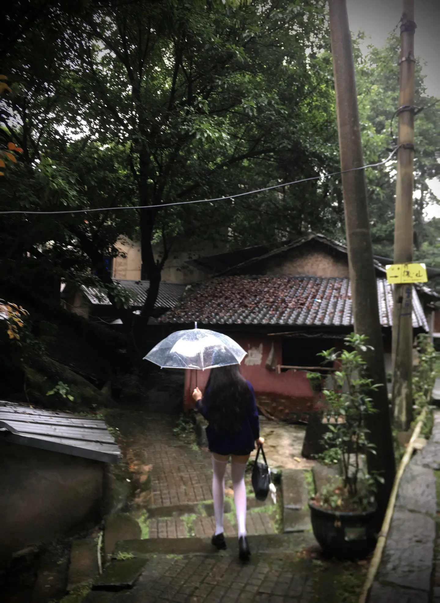 我知道大雨会停