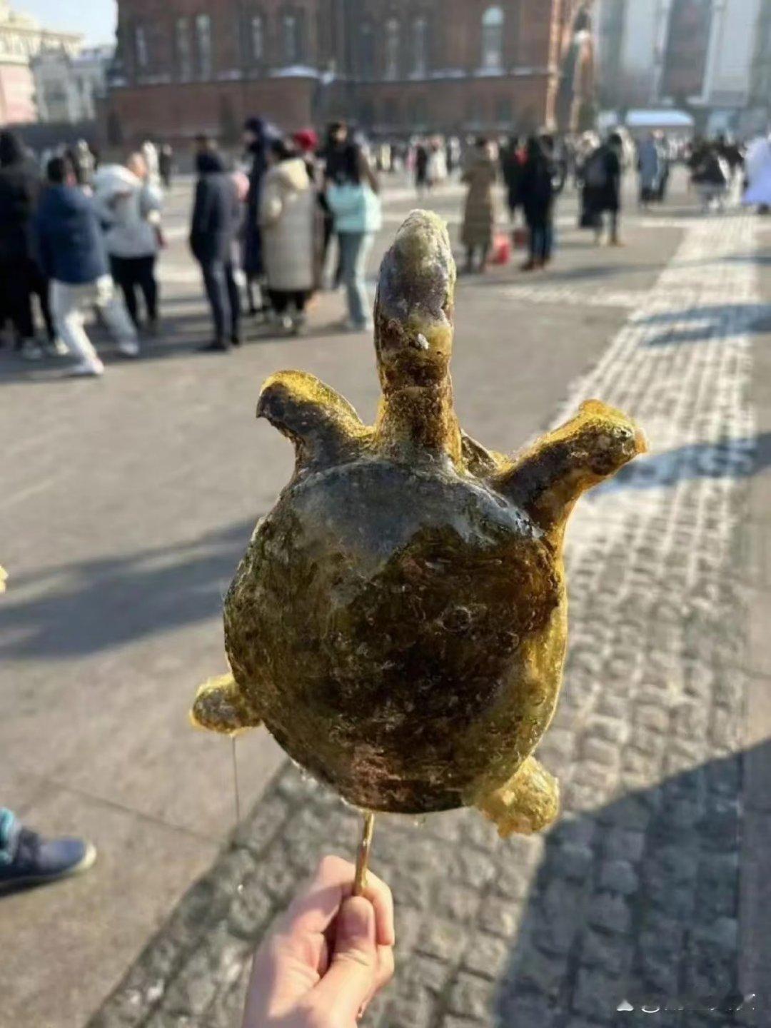 你们黑龙江是这样的吗 